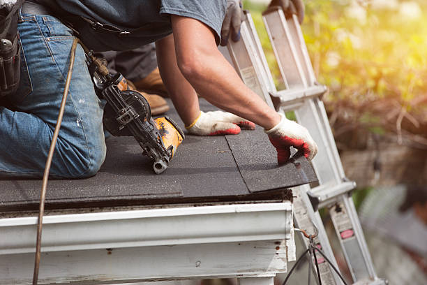 Best Gutter Installation and Roofing  in Homestead, FL